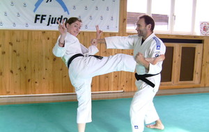 Reprise judo-jujitsu