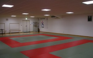 dojo mendon