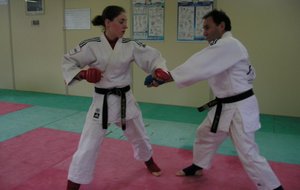 Jujitsu Fighting coup de poing