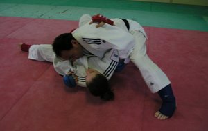 Jujitsu Fighting contrôle au sol