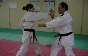 Jujitsu Duo Système expression technique