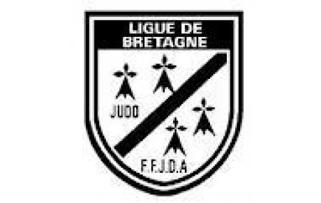 Open Jujitsu du 07 et 08 mars 2015