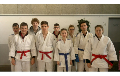 Open Jujitsu d'Orléans, de belles médailles !